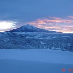 Meet your Posher, Joan